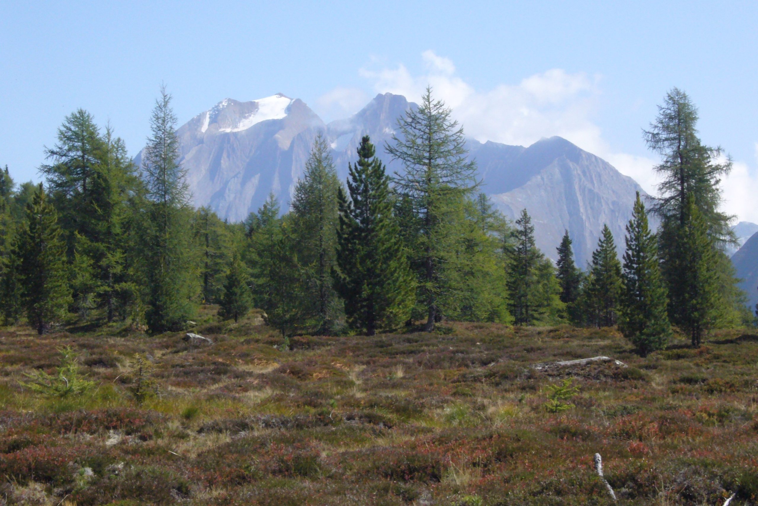 Bildquelle: Robert Faul; Natur braucht Klimaschutz / Blick auf Hochfeiler (3509 m)